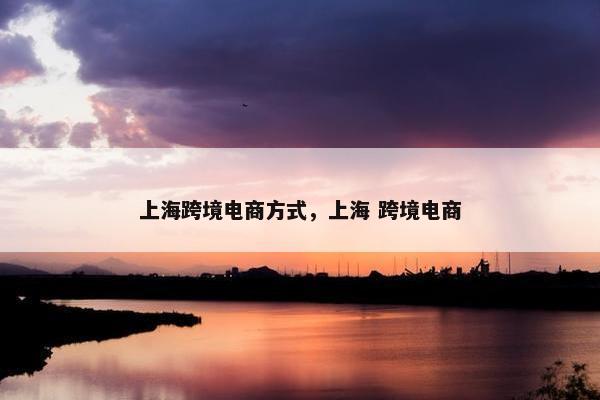 上海跨境电商方式，上海 跨境电商