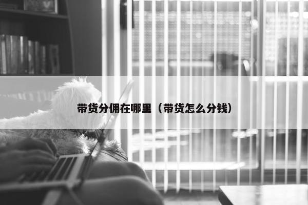 带货分佣在哪里（带货怎么分钱）