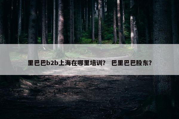 里巴巴b2b上海在哪里培训？ 巴里巴巴股东？