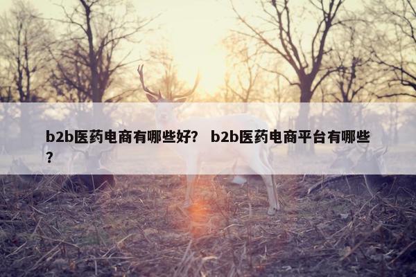 b2b医药电商有哪些好？ b2b医药电商平台有哪些？
