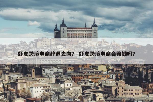 虾皮跨境电商辞退去向？ 虾皮跨境电商会赔钱吗？