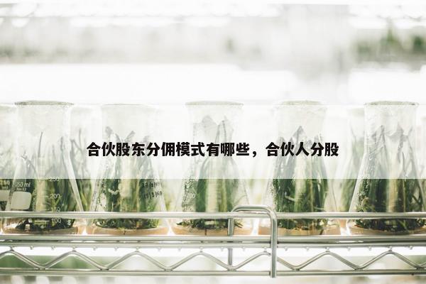 合伙股东分佣模式有哪些，合伙人分股
