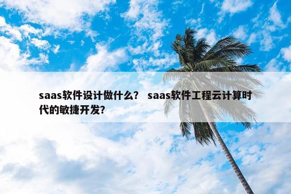 saas软件设计做什么？ saas软件工程云计算时代的敏捷开发？