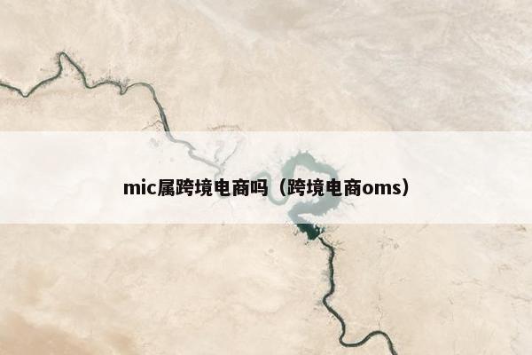 mic属跨境电商吗（跨境电商oms）