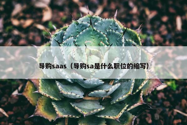 导购saas（导购sa是什么职位的缩写）