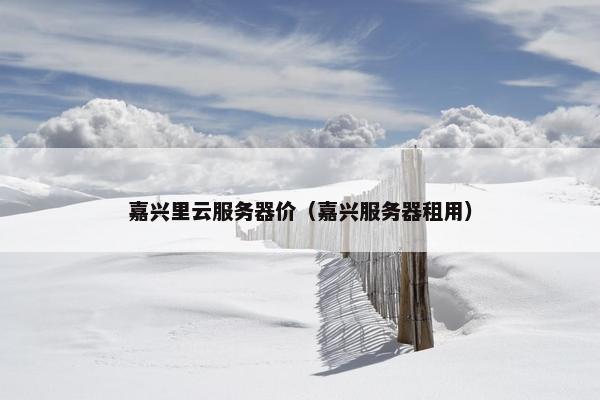 嘉兴里云服务器价（嘉兴服务器租用）