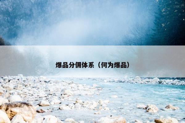 爆品分佣体系（何为爆品）