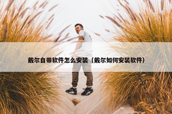 戴尔自带软件怎么安装（戴尔如何安装软件）