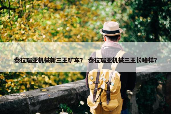泰拉瑞亚机械新三王矿车？ 泰拉瑞亚机械三王长啥样？