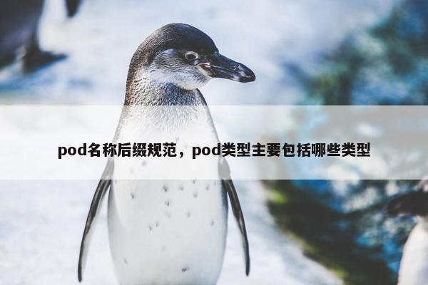 pod名称后缀规范，pod类型主要包括哪些类型