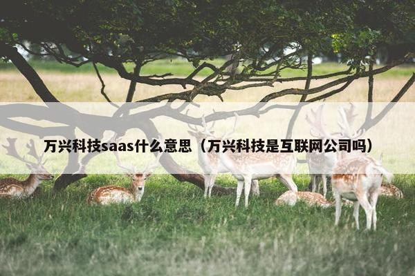 万兴科技saas什么意思（万兴科技是互联网公司吗）