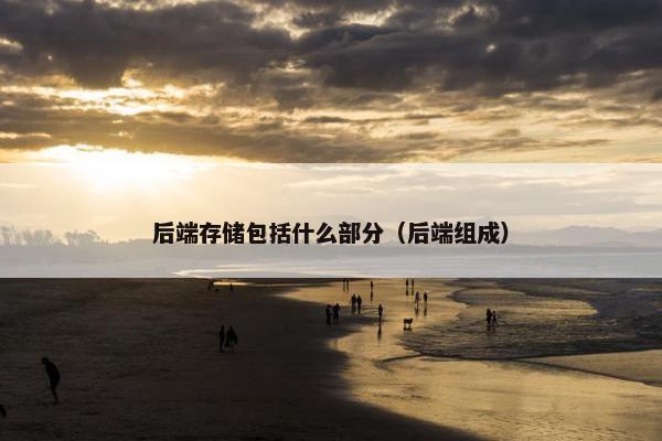 后端存储包括什么部分（后端组成）