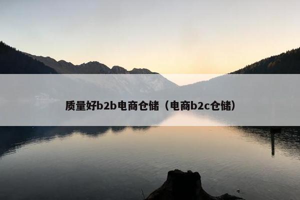 质量好b2b电商仓储（电商b2c仓储）