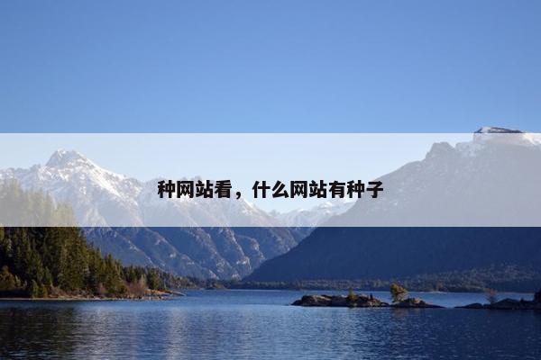 种网站看，什么网站有种子