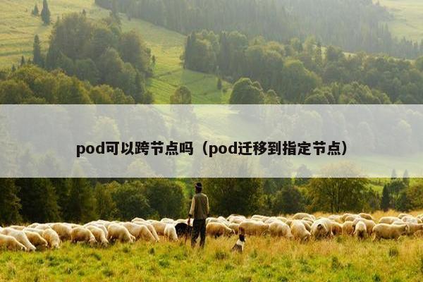 pod可以跨节点吗（pod迁移到指定节点）