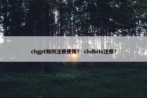chgpt如何注册使用？ chdbits注册？