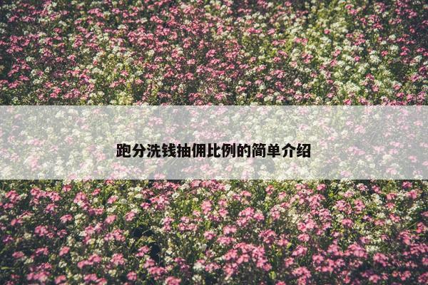 跑分洗钱抽佣比例的简单介绍