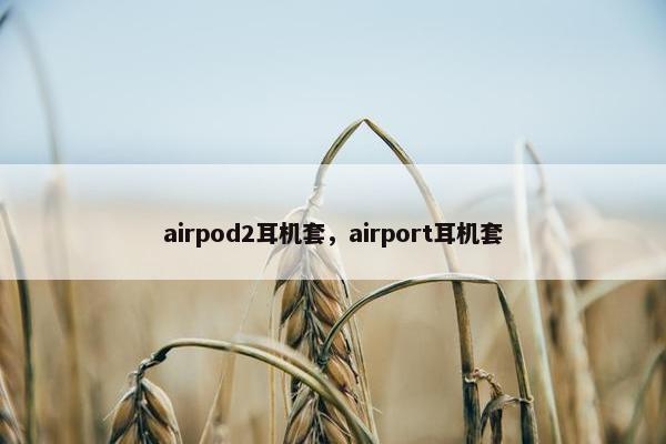 airpod2耳机套，airport耳机套