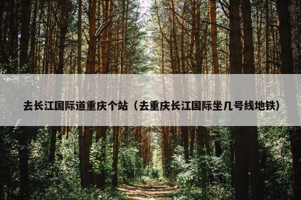 去长江国际道重庆个站（去重庆长江国际坐几号线地铁）