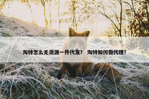 淘特怎么无货源一件代发？ 淘特如何做代理？