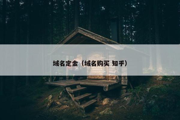 域名定金（域名购买 知乎）