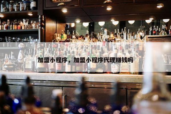 加盟小程序，加盟小程序代理赚钱吗