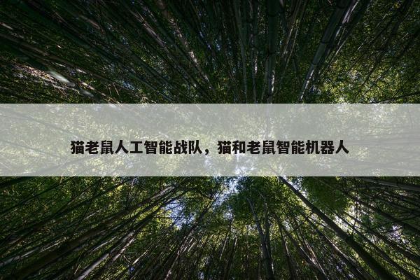 猫老鼠人工智能战队，猫和老鼠智能机器人