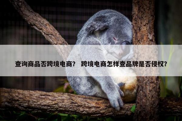 查询商品否跨境电商？ 跨境电商怎样查品牌是否侵权？
