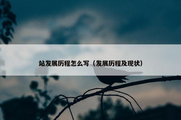 站发展历程怎么写（发展历程及现状）
