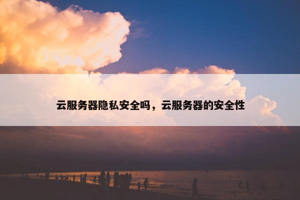 云服务器隐私安全吗，云服务器的安全性