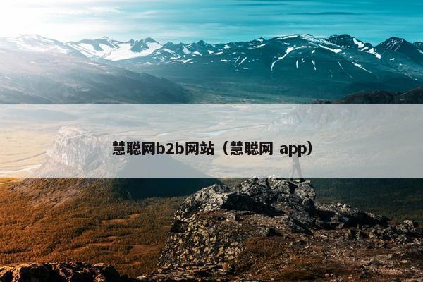 慧聪网b2b网站（慧聪网 app）