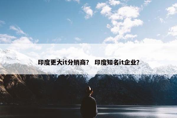 印度更大it分销商？ 印度知名it企业？
