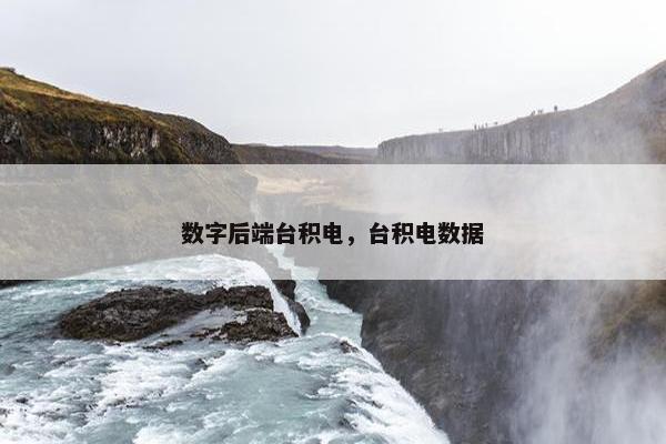 数字后端台积电，台积电数据