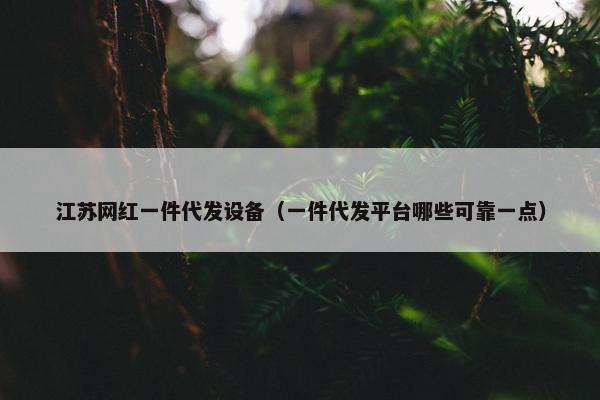 江苏网红一件代发设备（一件代发平台哪些可靠一点）