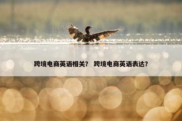 跨境电商英语相关？ 跨境电商英语表达？