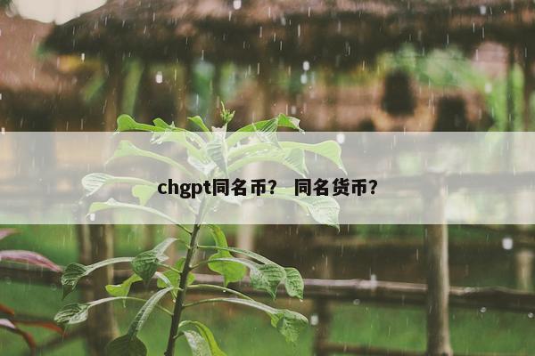 chgpt同名币？ 同名货币？