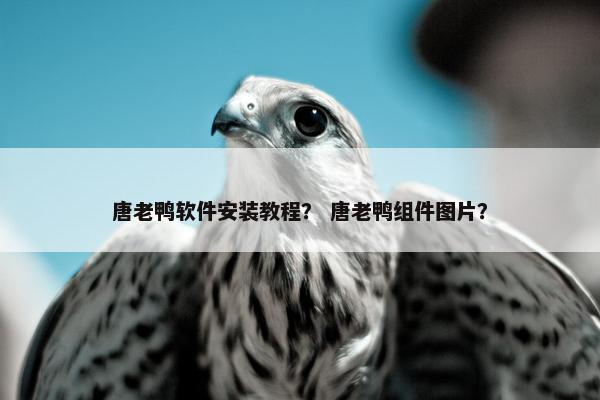 唐老鸭软件安装教程？ 唐老鸭组件图片？