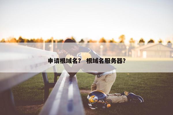 申请根域名？ 根域名服务器？