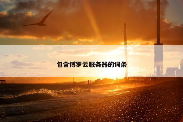 包含博罗云服务器的词条