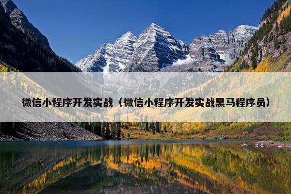 微信小程序开发实战（微信小程序开发实战黑马程序员）
