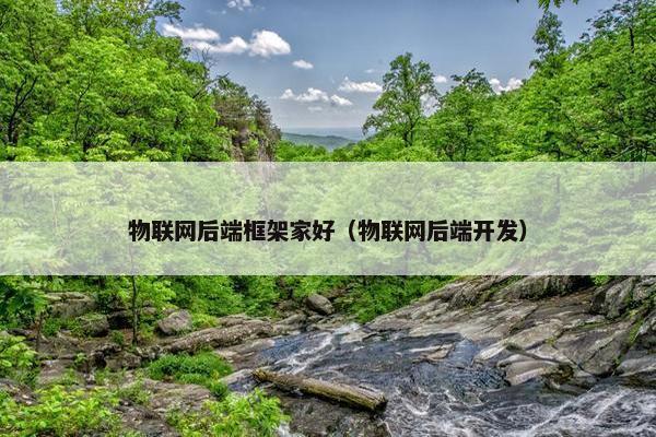 物联网后端框架家好（物联网后端开发）