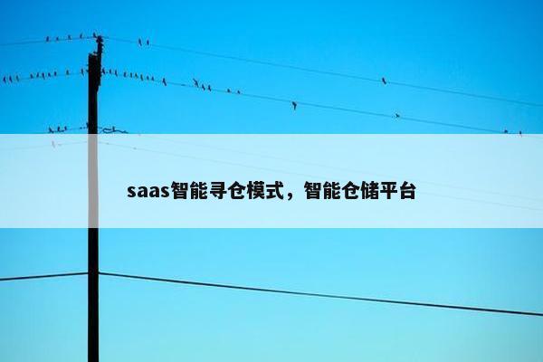 saas智能寻仓模式，智能仓储平台