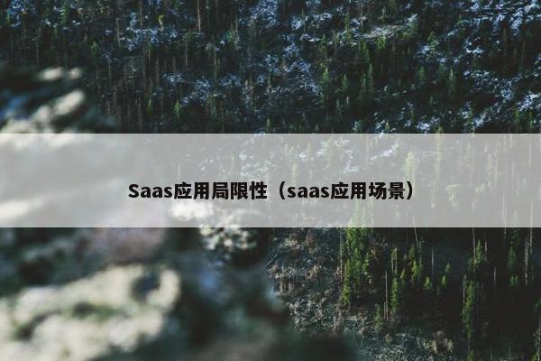 Saas应用局限性（saas应用场景）