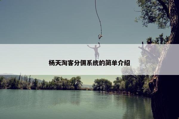 杨天淘客分佣系统的简单介绍