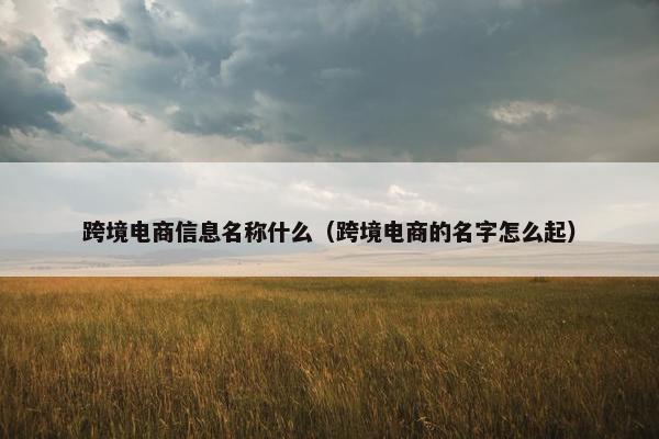 跨境电商信息名称什么（跨境电商的名字怎么起）