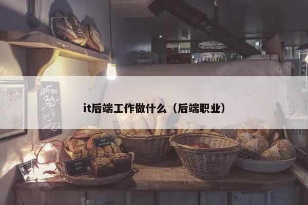 it后端工作做什么（后端职业）