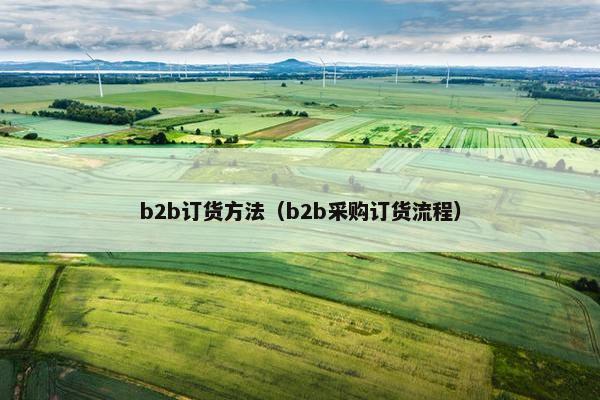 b2b订货方法（b2b采购订货流程）