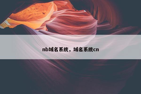 nb域名系统，域名系统cn