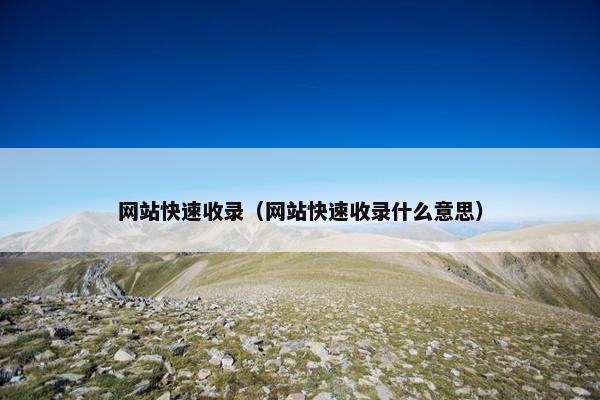 网站快速收录（网站快速收录什么意思）