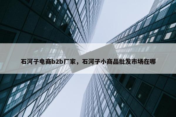 石河子电商b2b厂家，石河子小商品批发市场在哪